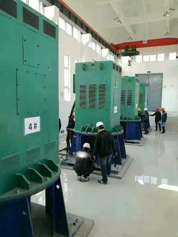 Y4506-2某污水处理厂使用我厂的立式高压电机安装现场生产厂家