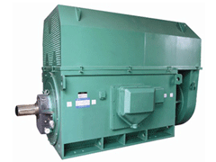 Y4506-2YKK系列高压电机
